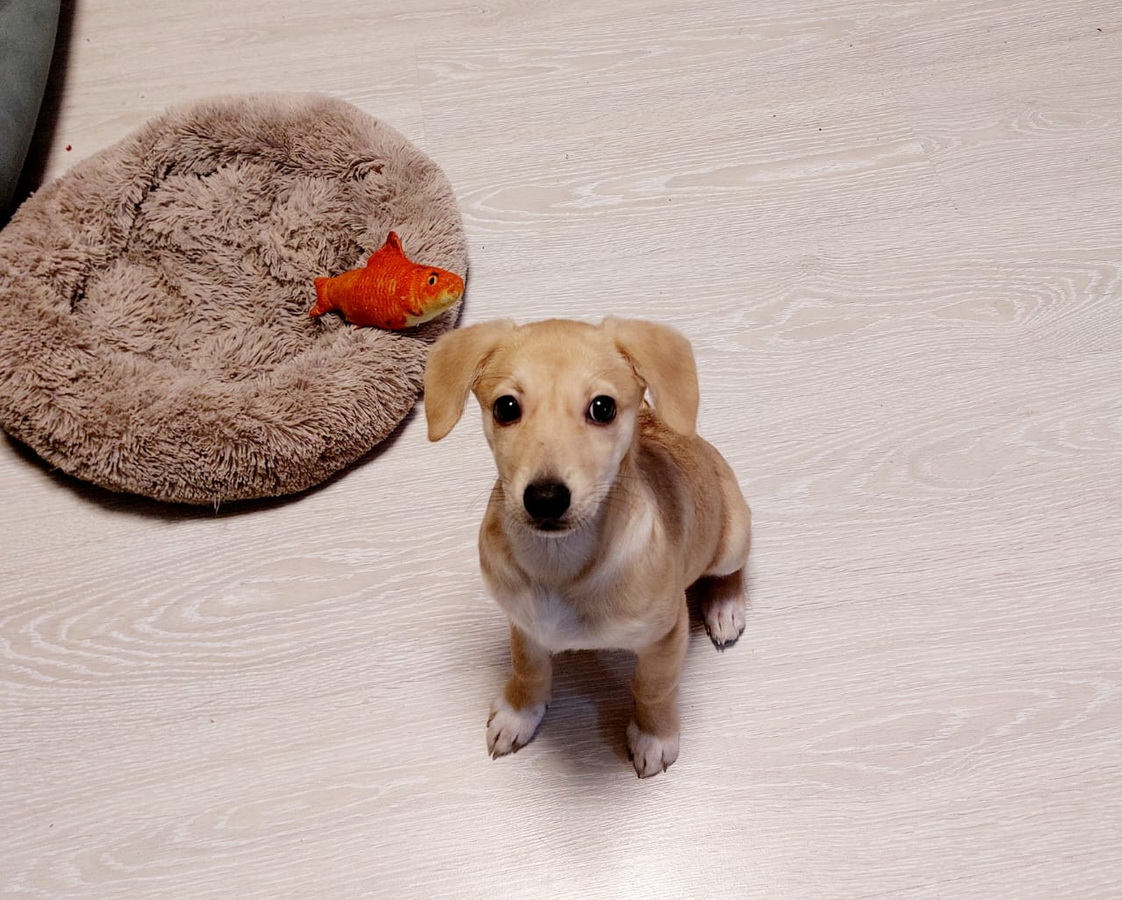 1j_mlnetyQrDEulVdW2IEKyrcgn3xGW8KOcvVq_WAcf_R06DxMMC7hijk-kvhDF_xmt_eJnyHHQB99oofRzh2RwV