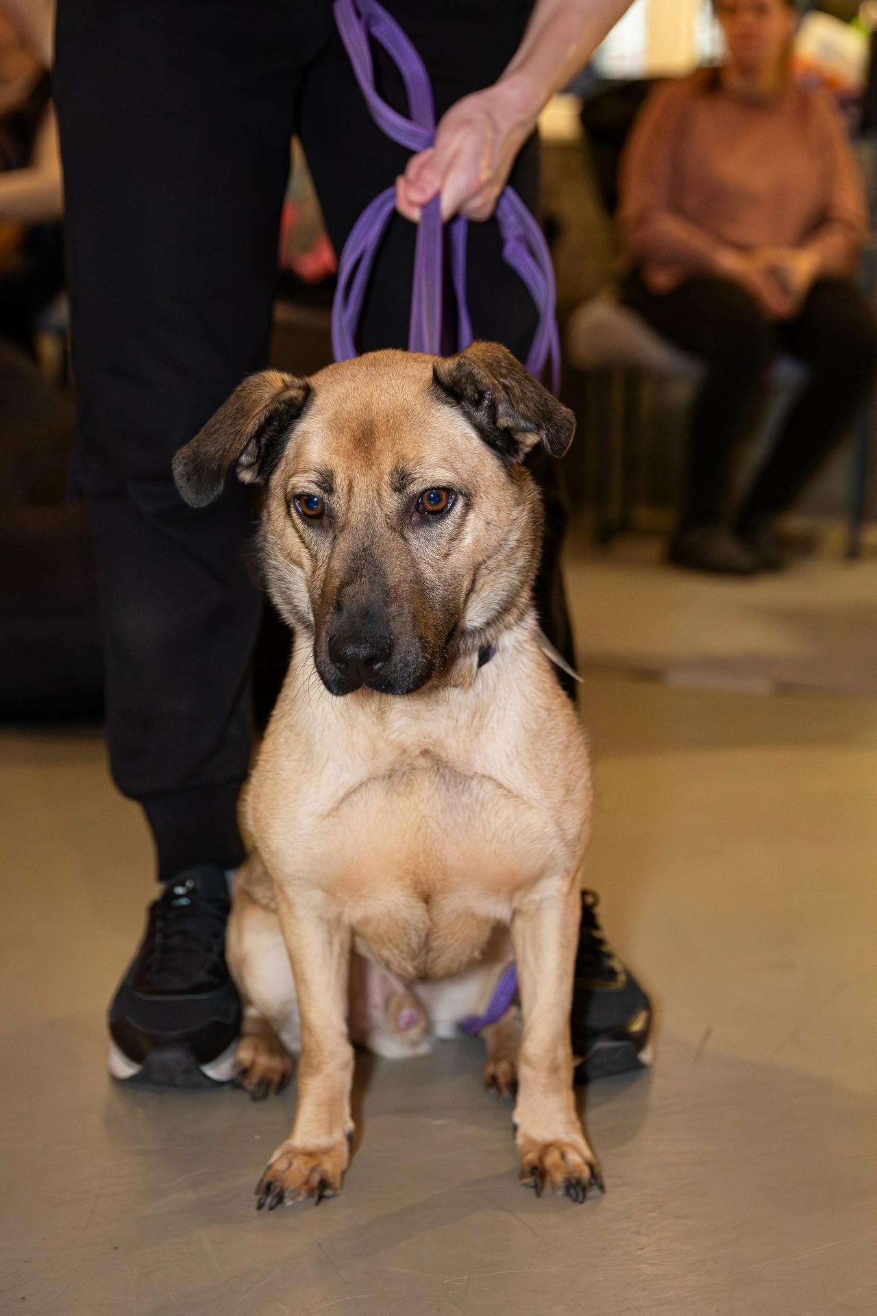 2-SCk72iqWuuG_EGvBoCqedvsk56ETi1C3gx8d-wAUF6p6bvECozl0eRPFF70pK4S1d3g2Qr7PWdVN81T1aEoHj3