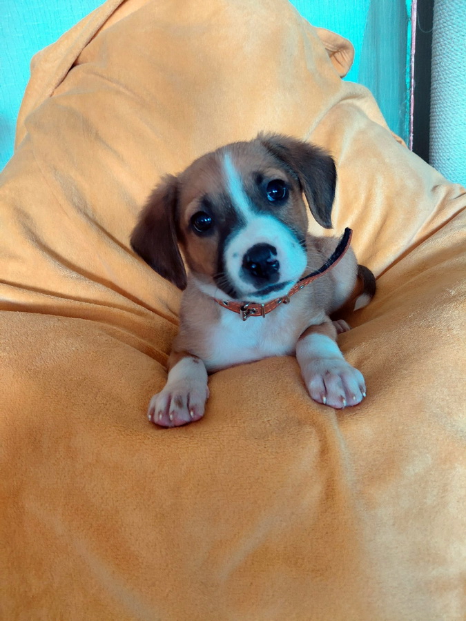 4-3OA1e_ZTjoHtSs9tmXQhElmIf1_E_QiVVfu7xGwDOEyWmm3Hn23s0jHEnaluHnMgSIQgKUPxhT6ouWP-763MkN