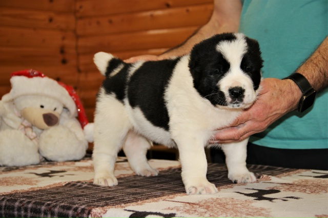 4xzaTpsWos7vag2885DuqdnyEj_AyOQ-g1nKuDYKkINUVebOF_VRcKM9Yf6pBRi6eQUIgDQe8-dbxCBZA_vgfdU6