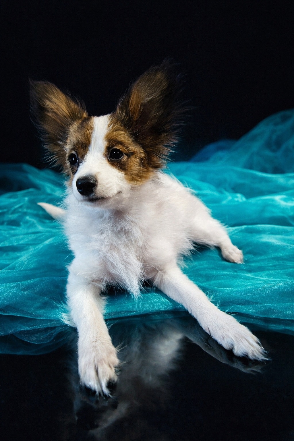 5FfbCYMM57y7_JMH40xBj2Hq376jmb4_LC8GpT21OyKxA8SIvfTh9kEt8Jz1zh6DBqvAx7ehjM5sf4W9zQBVgWht