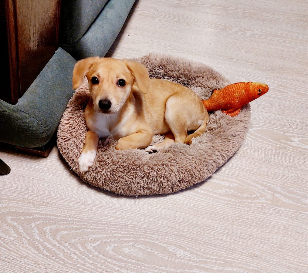 7btFGhCrXEkHVegKeJ6hzTHYni0WAY_TpMsDl6LmE5rn9XMj7_Eu-i_C1aAmw3NRJtTZeDyAtBxHlgfYTkmhUp1q