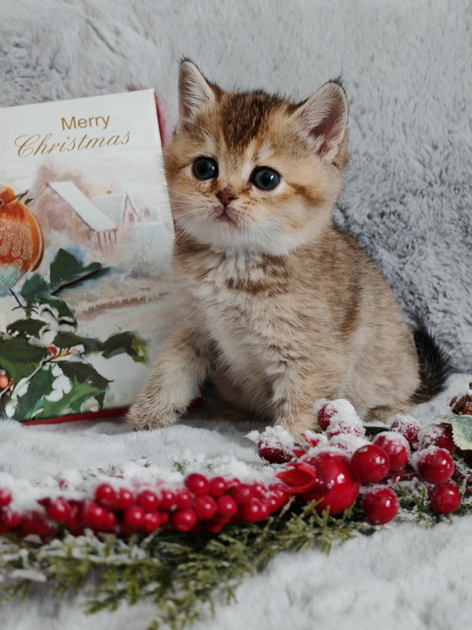 9U4Wmx5iE3oI5-BRrMiu7PQ9y8Grs4Mqx8qPthhriSPfIByI76f0LeNSJnyduP74cBnvNAofOEgUDlzJ3_ny82UN-1