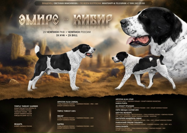 BedfBTwuzd-avKjMomETssvDHfnDgAdao_8dZVLsj2EiCDBEa4X90DKQKrK9BUBJHih4XponVt4XvMQAgUYg3Npg