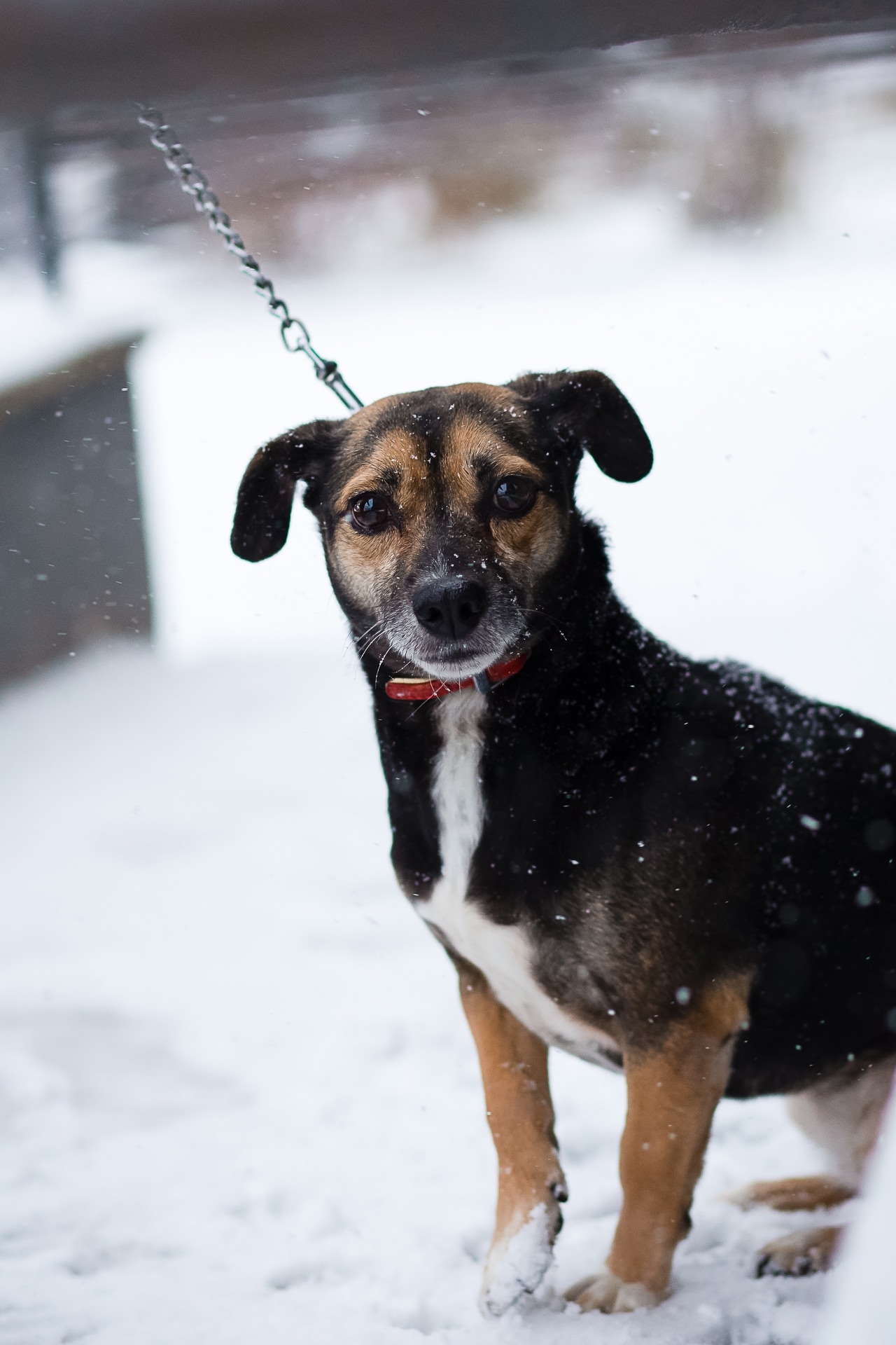 EGdSpo5TmN13WgKz_oPR9Zb07hPeGw9Oq9mdZlY3ag5f4Q8qxZdqViqwWtEmYxWBkKLvejGoIeMzbZk4_fQR9rel