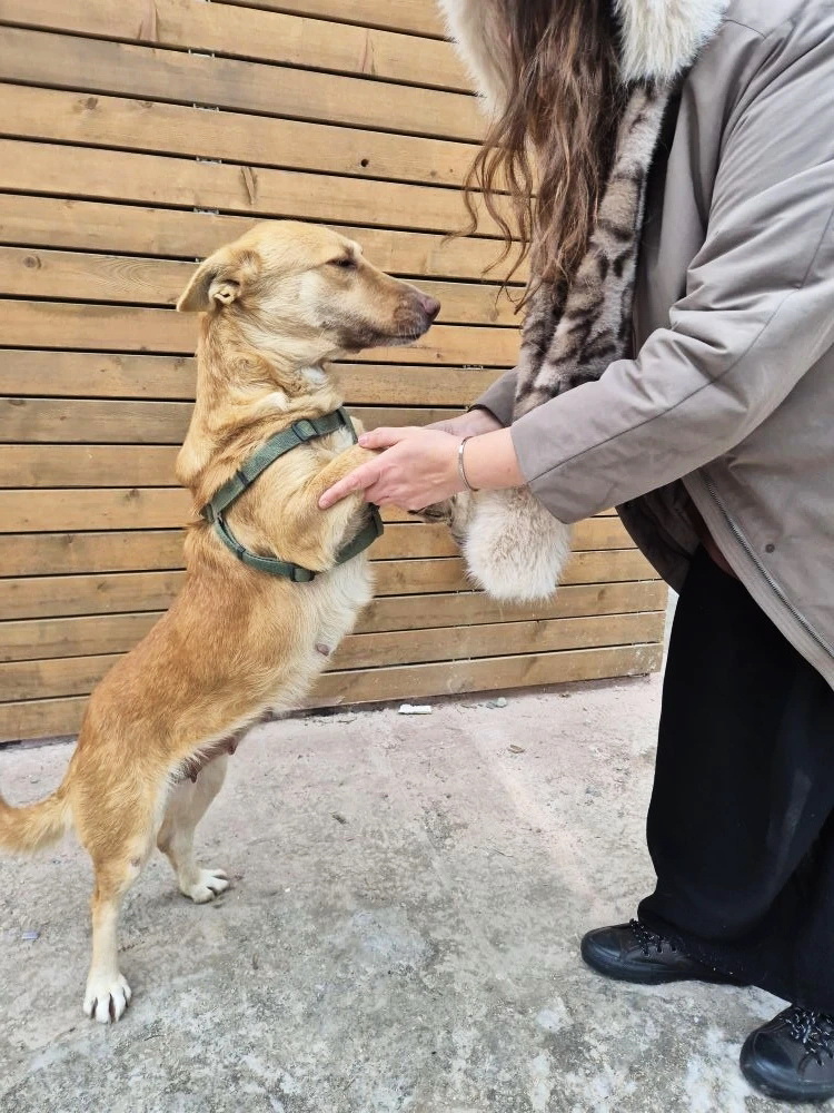 FvDz85xBDwY8Nn1mURe-dzCSwR9J_e-EN2sOOwLaG-BJwLlaqjBzjADqSpznGx_krq_WpemZJTa7ceEED66851eY