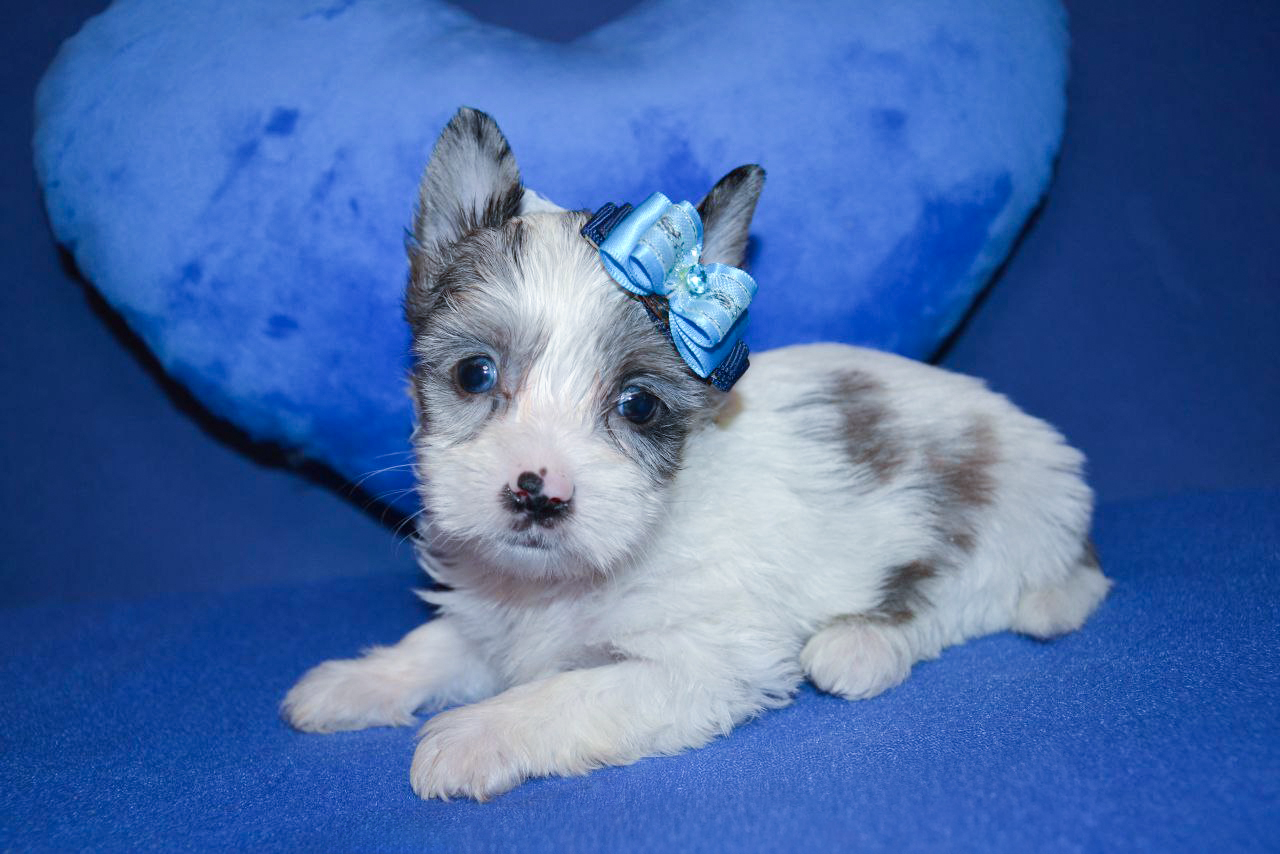 IMG_20260115_002315_065