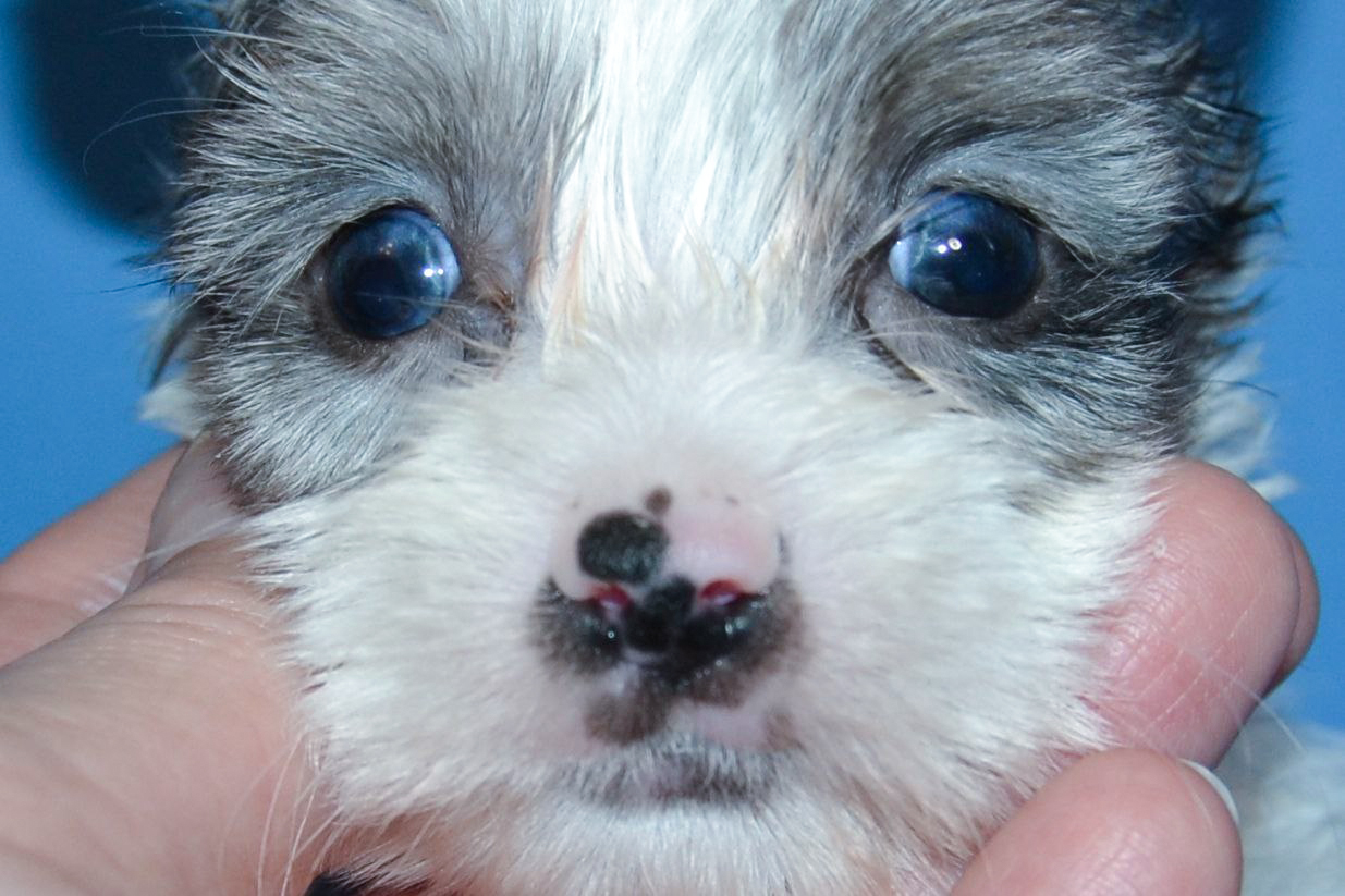 IMG_20260115_002331_568