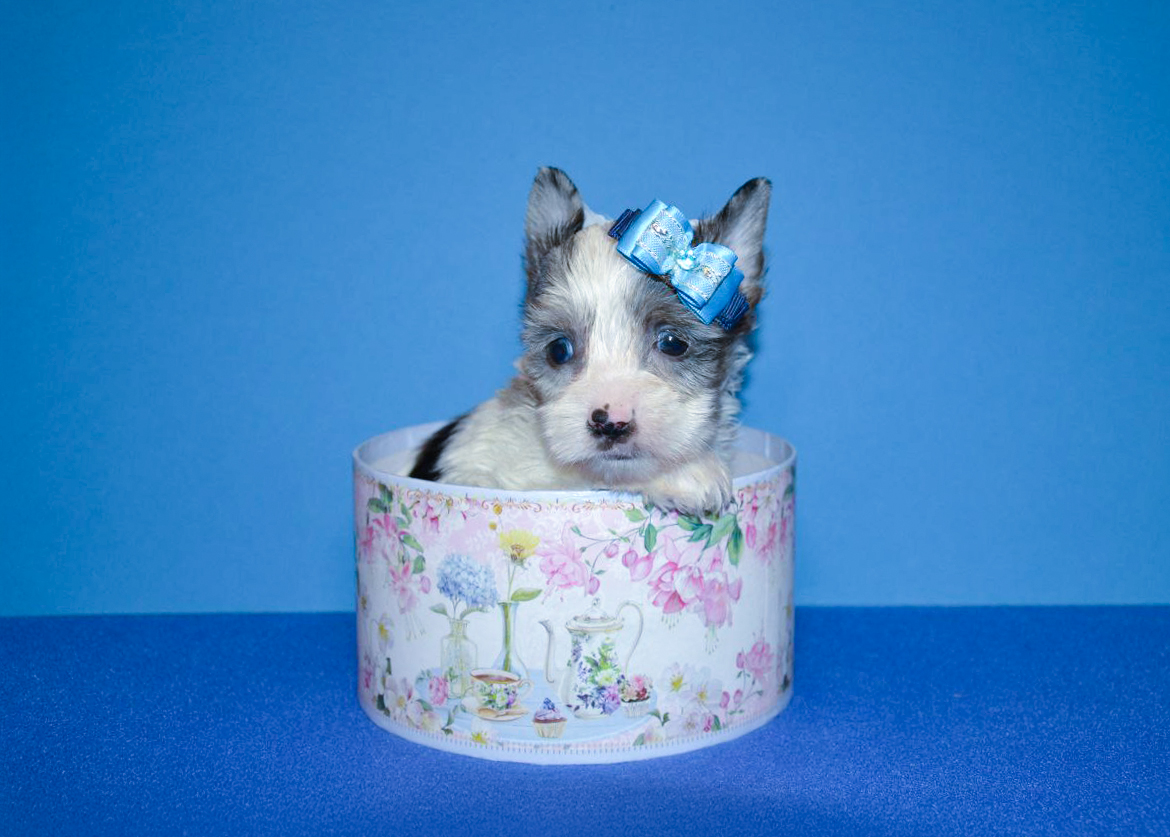 IMG_20260115_002331_749