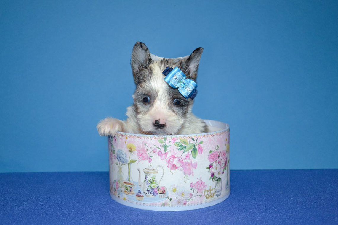 IMG_20260115_002340_621