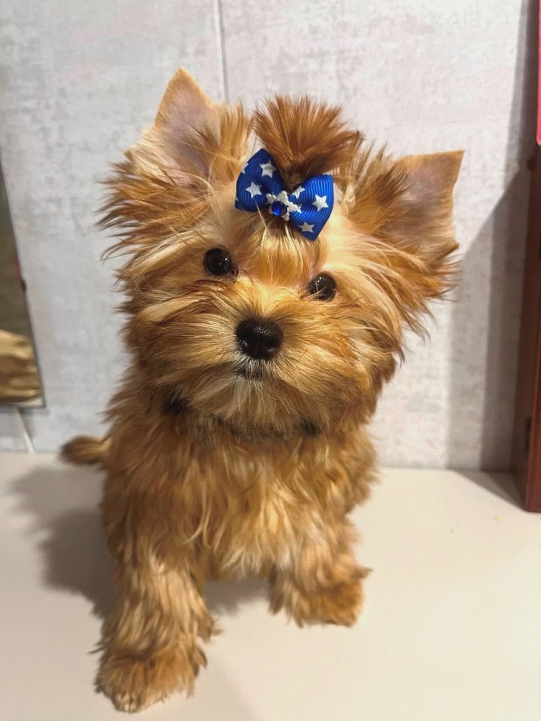 IMG_20260115_144825_444