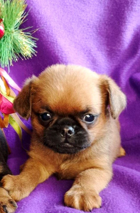 IMG_20260117_215655_312