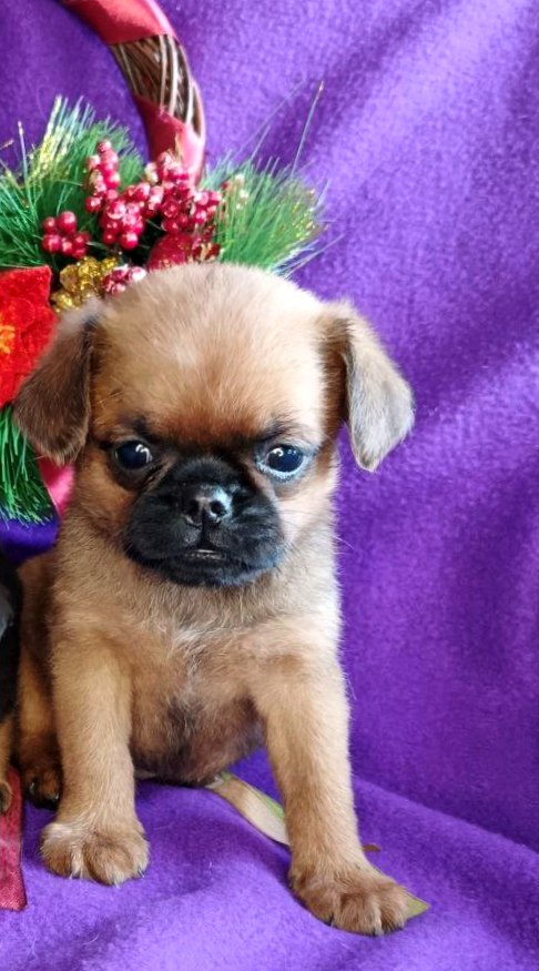 IMG_20260117_215741_722