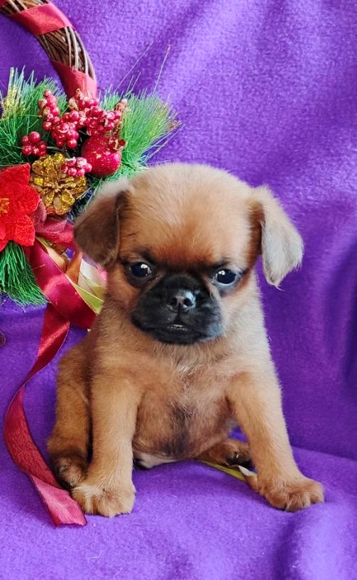 IMG_20260117_215801_386.1