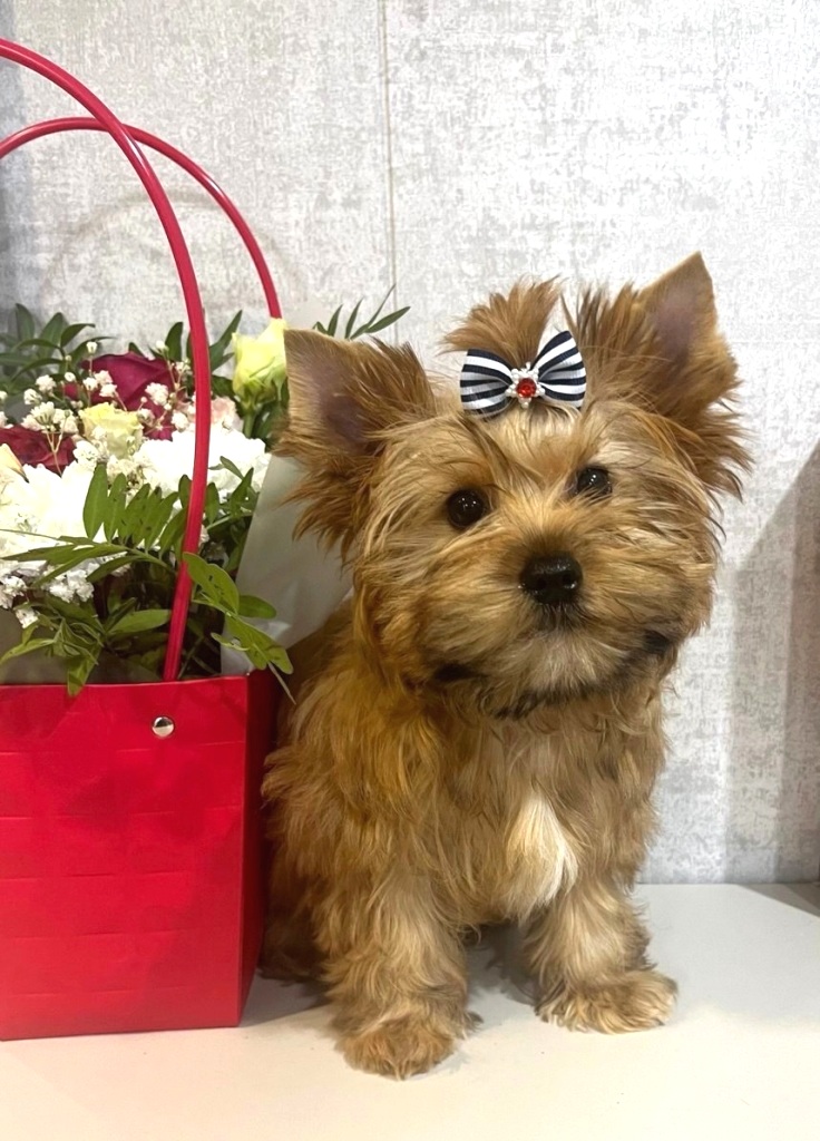 IMG_20260121_040104_626