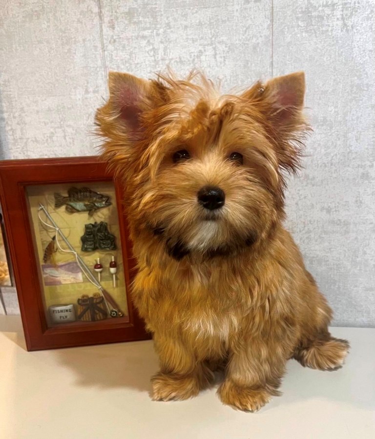 IMG_20260121_043431_534