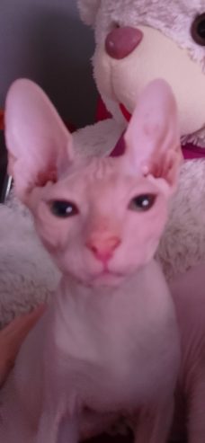 IMG_20260128_1227472