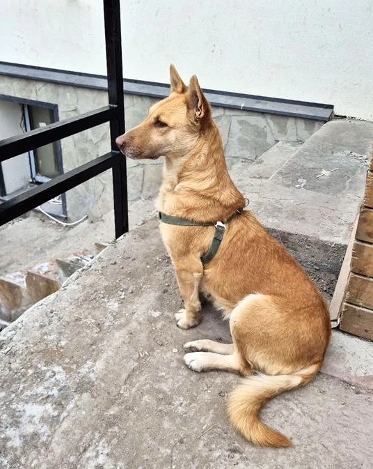 LudD34-zPiKSkw1Z-M0oVV58oLdYUYYdWmJKKL83O1r5p8IXZMOt-JZQ7IQ8L8nPVnNbXzURdVXbfXVVhXkFhlLc