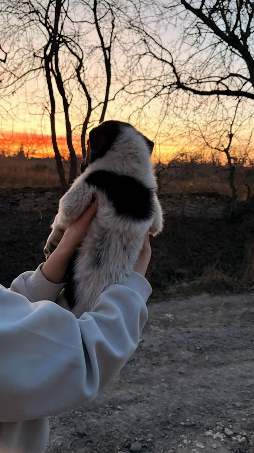 OTrzNxNQK1LvTddi3jpIezFvDfLmvY4-gvsrOzOQaM_XzerVcSTutqyC3qPnHDq2hgrud2cbM0JAB8MaOb_dGCFD