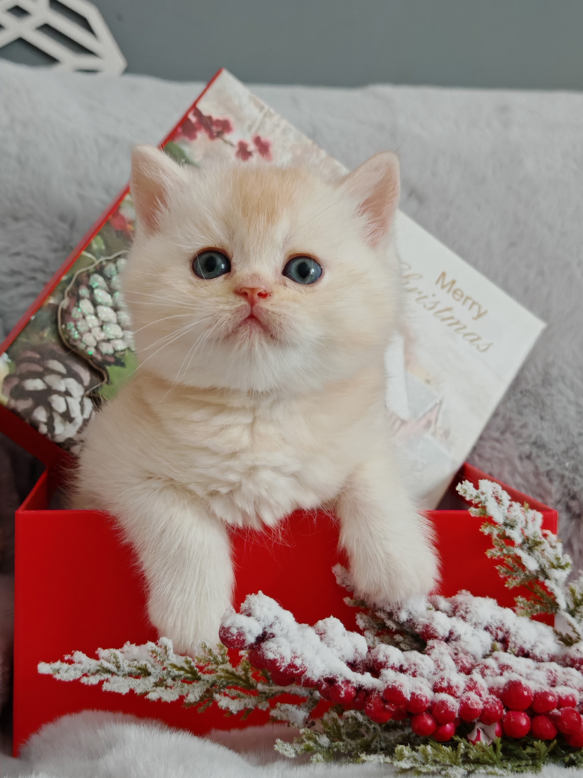 PGbm3Orw22J2QMIbmvynkCphBFHFBKF8FwpLY67BGCV6n6DK4BthGdoUf1DVRmuvZ5VEG9BWLlGVr-4EmMAM6nIz-1