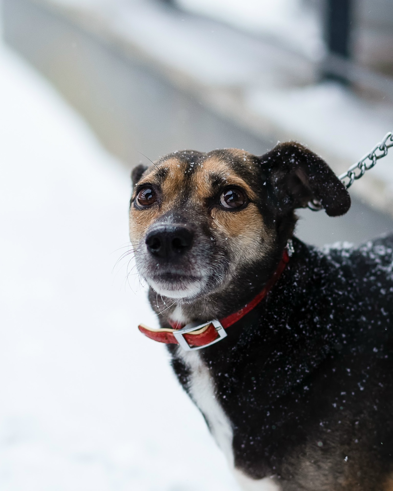 PjDuYLmc5nUPxB7G1b1MrfcnPy1Y059LQkytHdmZ5YUh-e3FopSu1vy0Ej4cC0fnaFOpLNly_32GoRUMFKISXMgb