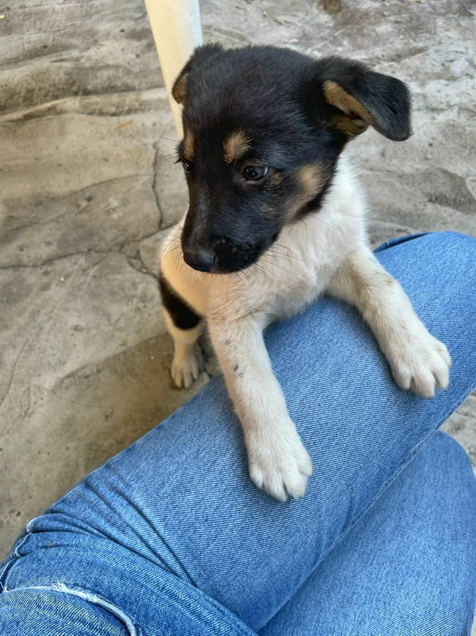 T4MAfCGEVDNKqA409XdSmMW95d9Kxmtg07TS9CRcOWm4fOkFEraItOUkb77FBxx4r48Fjz6vpfBs95N6xloKOZqX