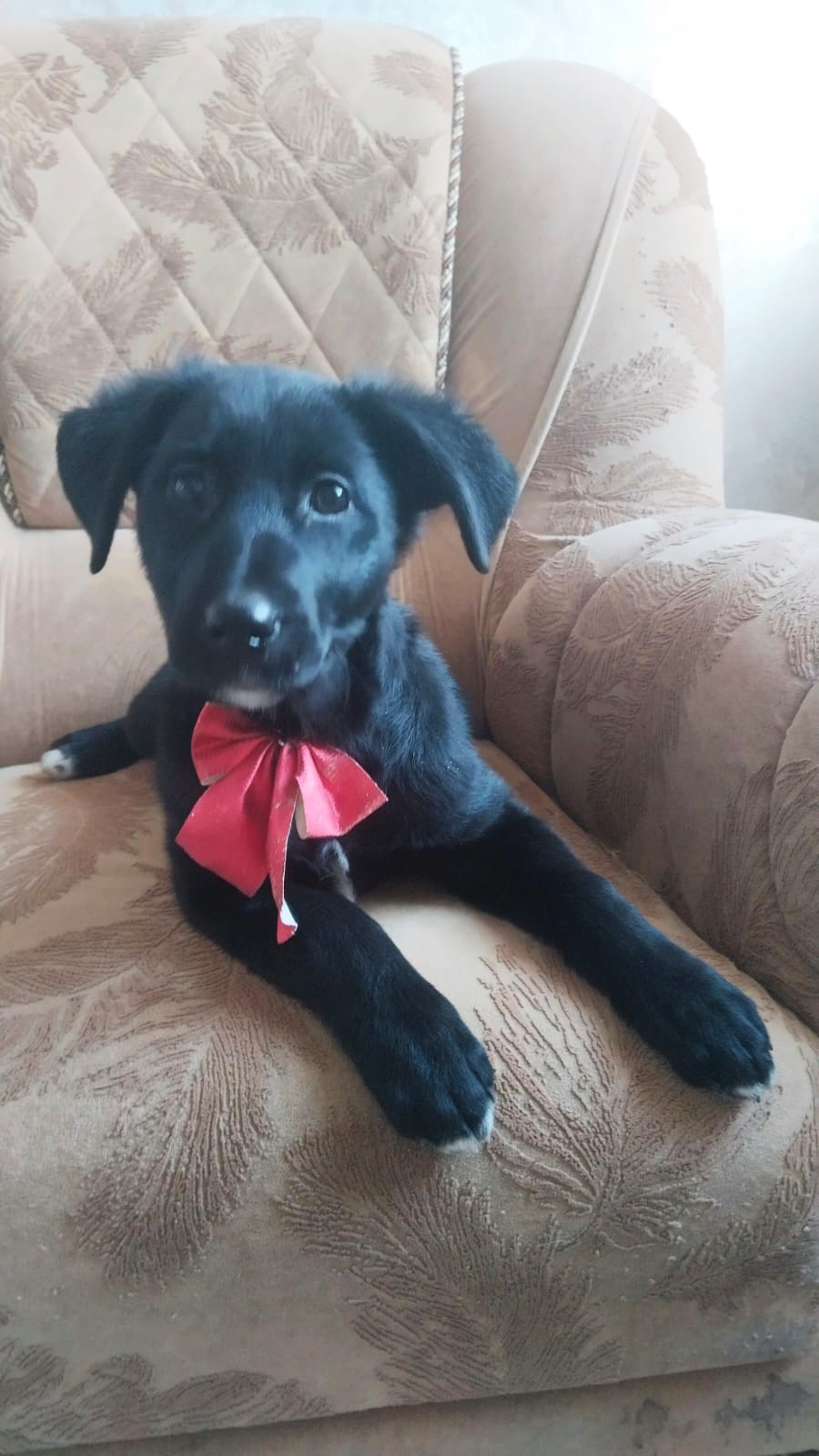 TudIMsZErmPR2mEkYv7Ik75MfIOGK7YLvdzV74eXu7pz6iQLbYI5bkQ1nc-M66NUokkNW5EiSW4QxZNG5QlNfHb2