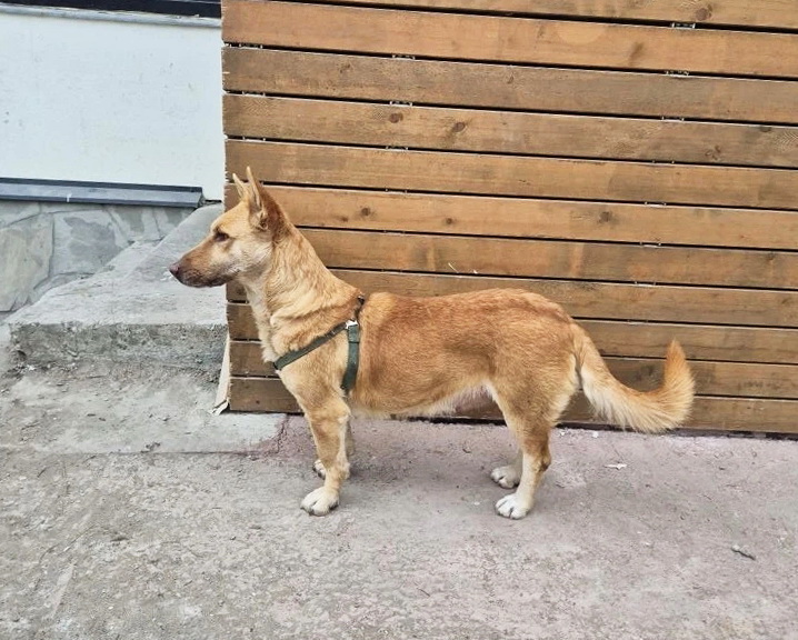 Uii0T8y-nU_QBeV-YxY6SBwzLuV-3IdAgGCroKjyQarjY1rh9pFRVBQ7uMLaixTbVTcyLLbL2Nu39I0kJXcuyLsY