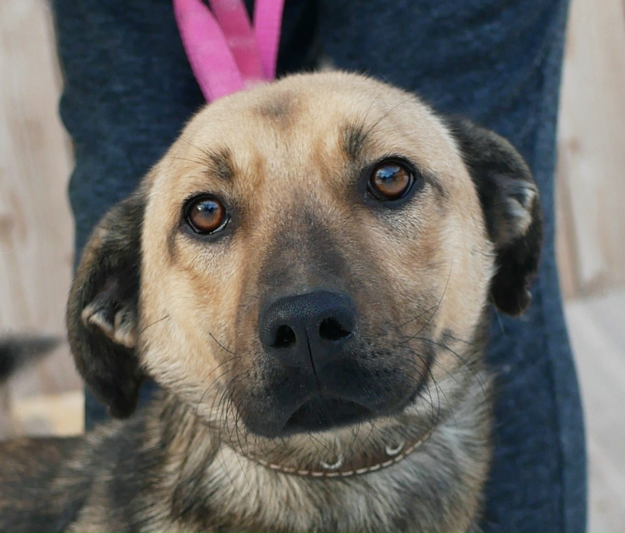 Z8RekV-vtUeO0FrgG5tgKrhF5z_zRuoceejHj9tN6Jfvs2UbUtbcBqooyTKHTsl_ccvmxUqqIu8OxKX-M6QMWKME