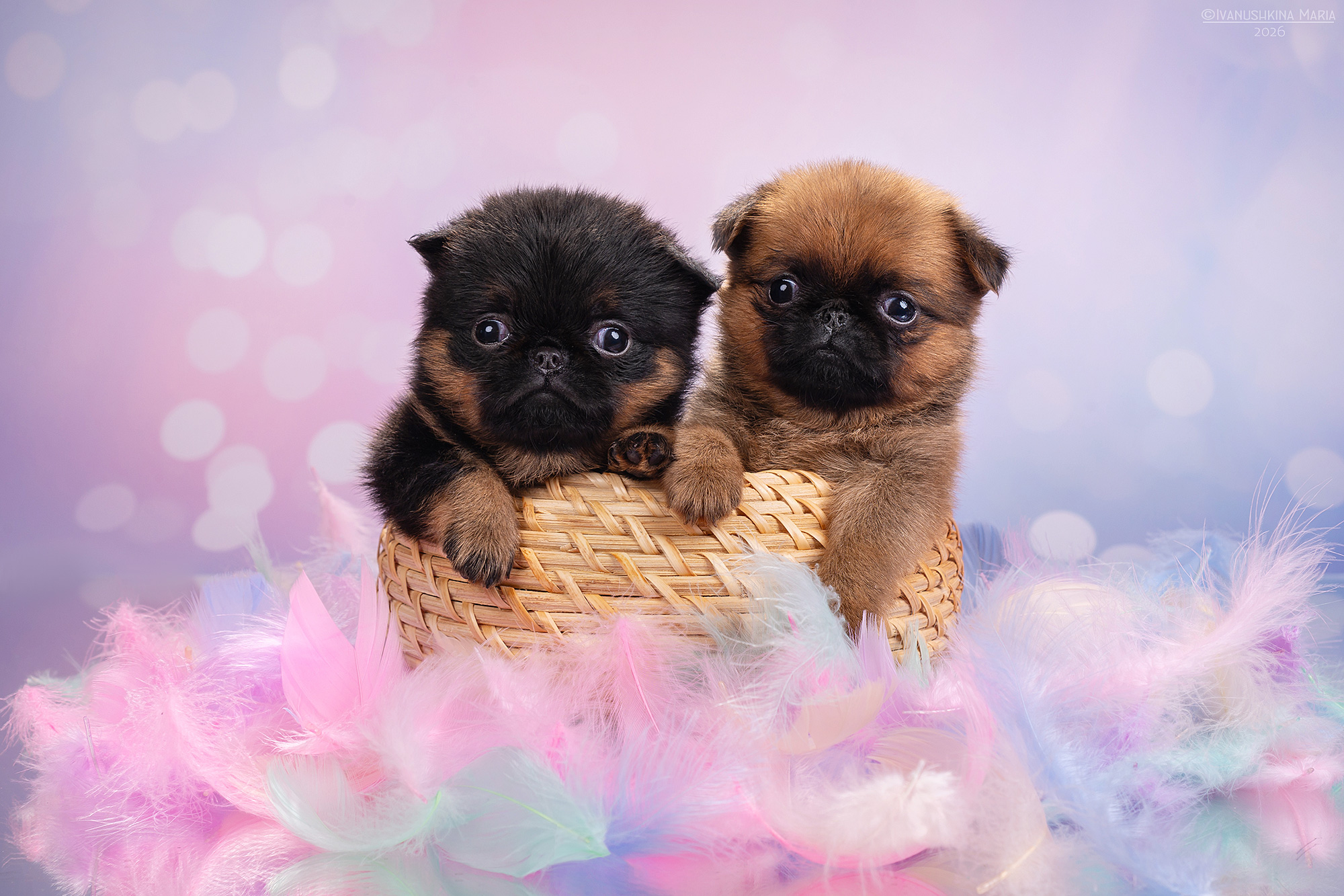 apbtjQW5QoZPQ1wqV0EKP7aMLPws-jYn-1-1