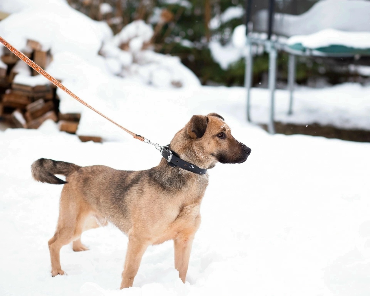 bTaP57myLAir8z6N_3S_E_lqerVxeeQhfQRWyslGrKJpL9AXGZAHJtshJe6bAwMq53NPknf2y24RkL8bMF7bDfQi