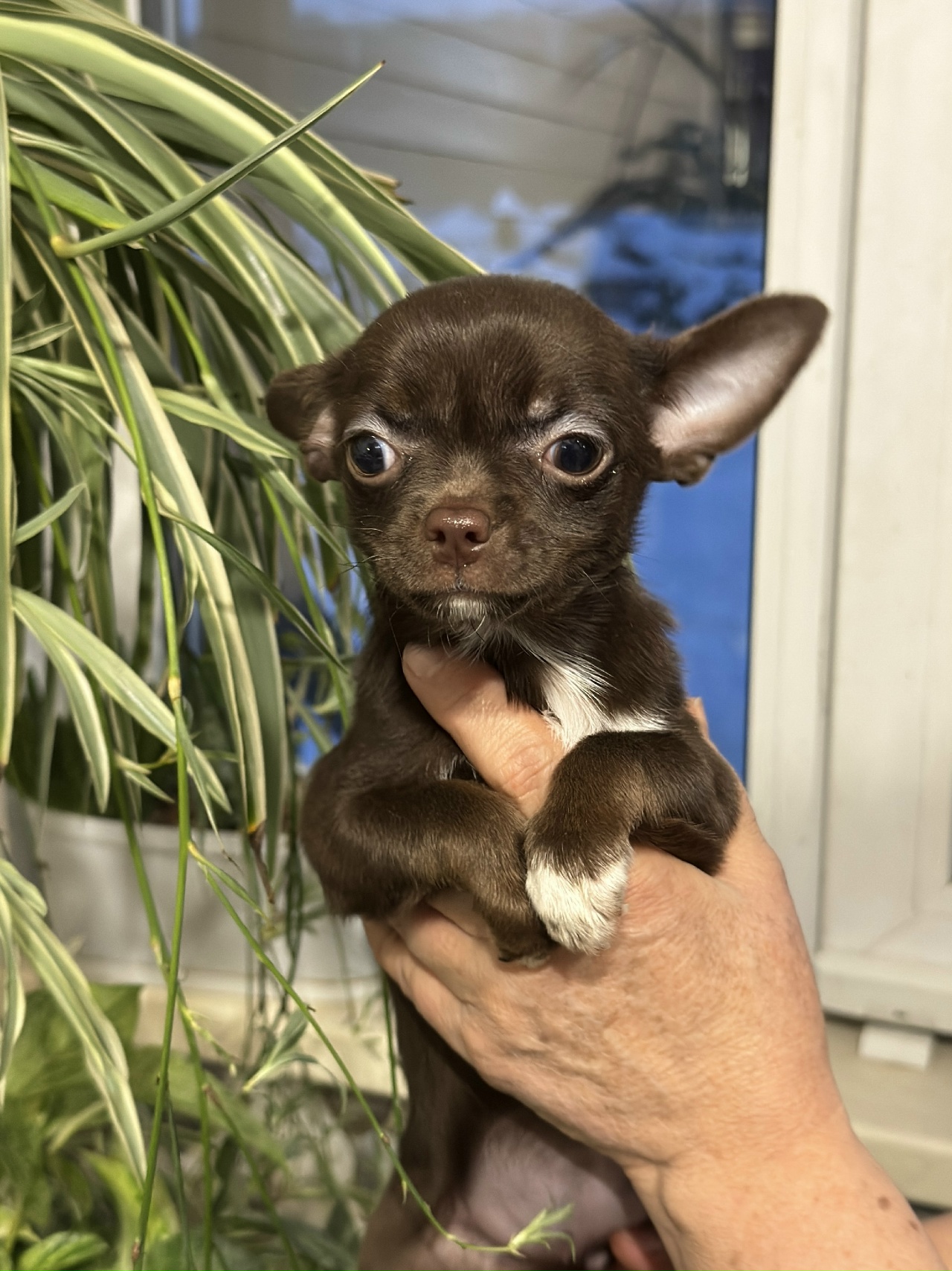 bUydRGpc9_b-qqRpLoKDuh-nlQtwmDxvLlGOn0A_lwQy7PWT7vCnByViex5ADhVIafG_dbr5-_W4SNxWozZr6-nR-1