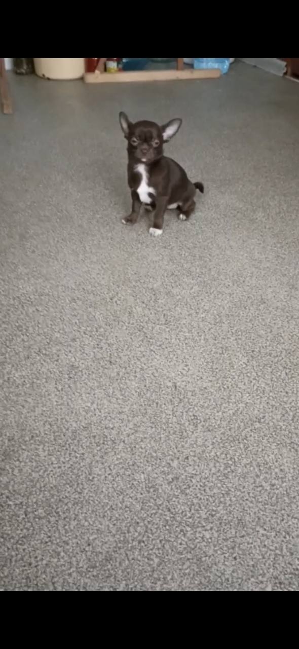 cyePWVxyk5Wmqrv7mgOh2dSJcsD2ljntHPl6DIfJsoIqEsDT0r_rV7sEB0Vyr4YssB3wCFuVo0dZ7WL8mPHXgSGw-1