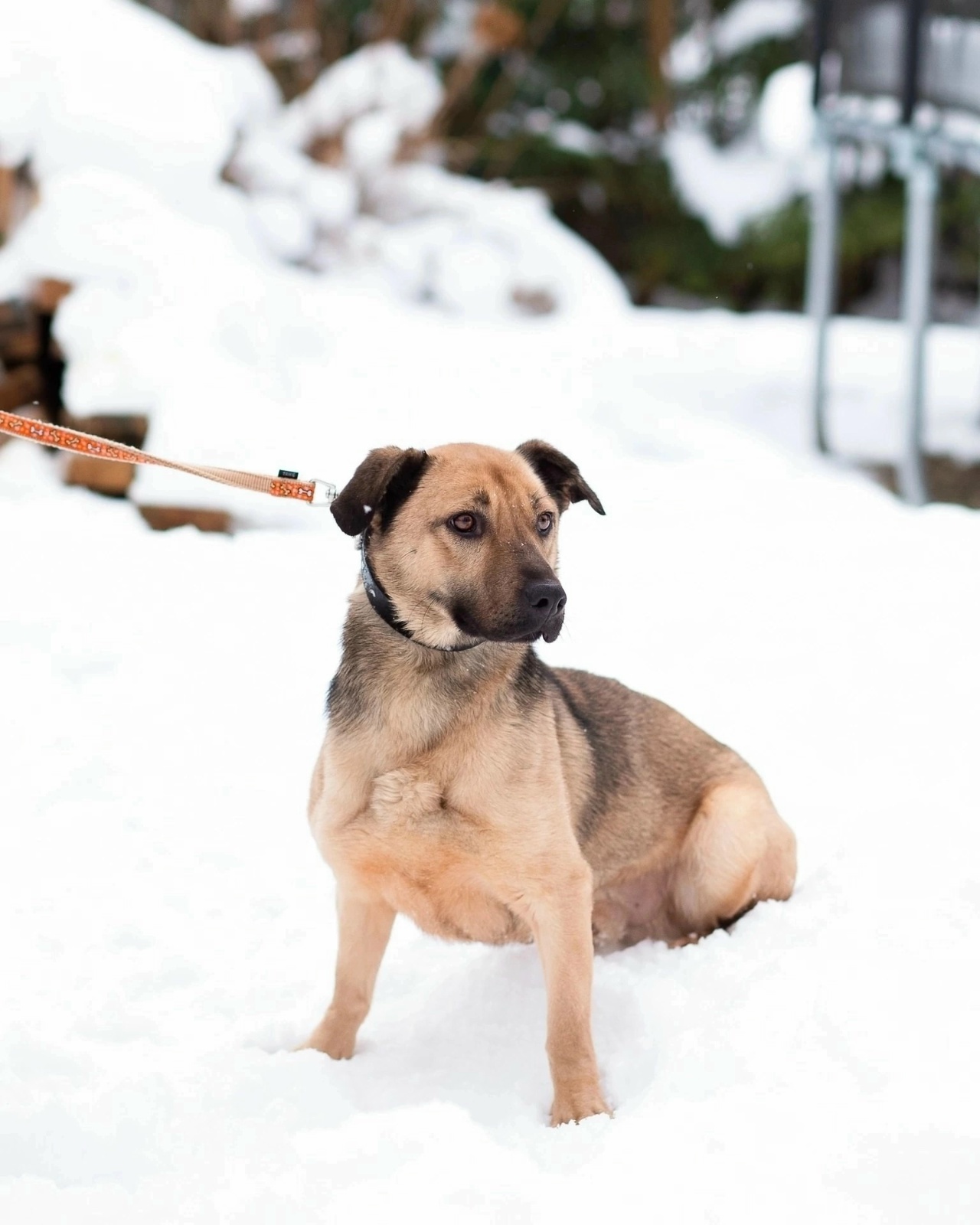 dTMYvBnYkSg_BUmYNaK6Z5_rtdaPsbMgQ7a5UUOiDb2k8JBJ973MPTBxY1lsJLnHLnAHLbAcACy6L3bWB2YCaiSR