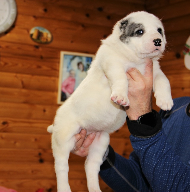 l35DRghQav-H8NbZC0xFIzrhDGrFrsIU0gVzvIUHzpF9ztdIiu6_Rt9oq3Ga3Z4kBuPykSQ2A65TbZQrrryCLr7m