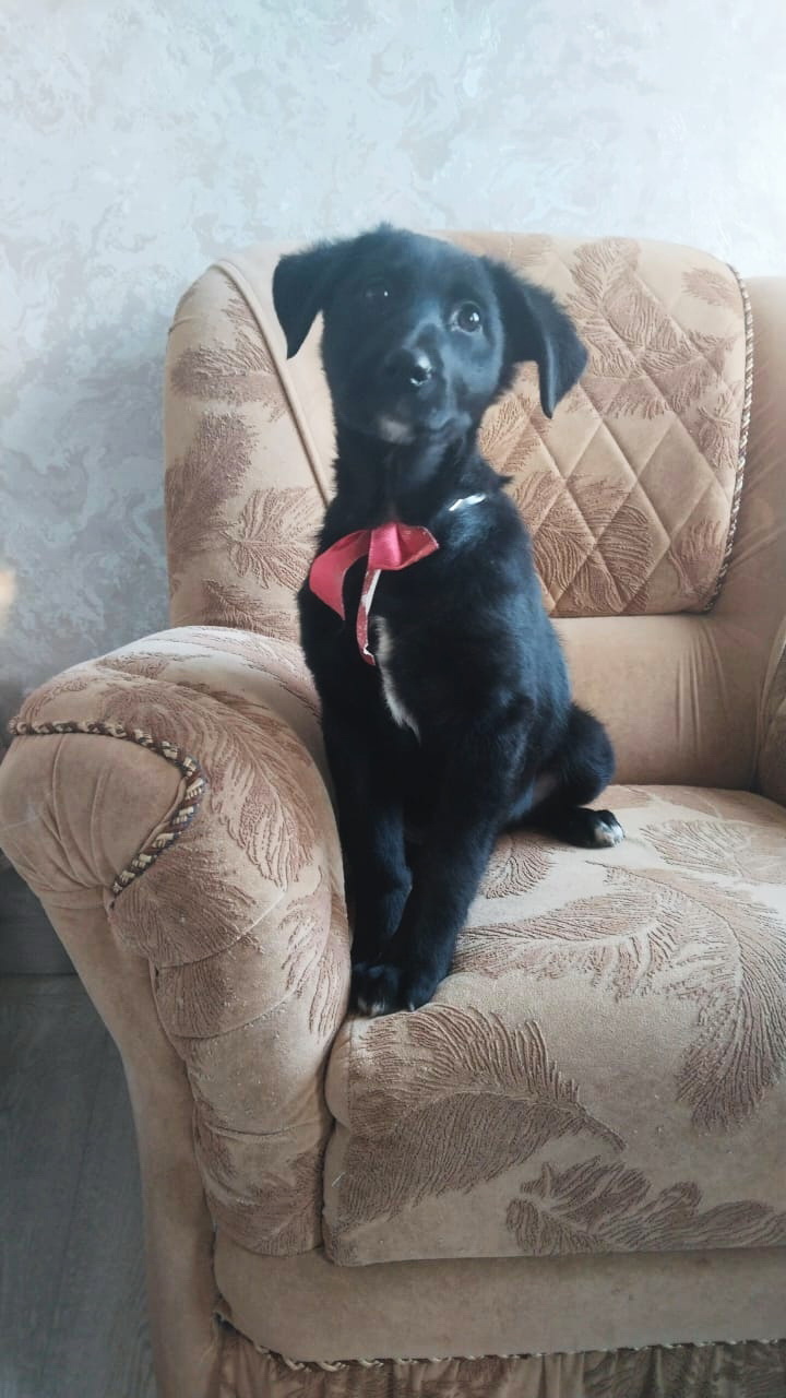 nBwHqW8QU48IvQjRm6dDV1dZsnU2rGH1nm6iiB_UP5mQjZsv5gjSfg8eNqpvSFUzM_L_zN0WdrMhTdTsj1nsgF9_