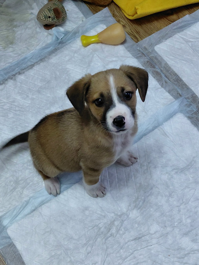 noD6BKz6hSvjcf50LZD3Jp_eWWl9MwL5d8tBxMBe4oEWuGv-t-B-0g1qE1FlpFdMVYxRYqCTk5UAE-9QUCEK7c7s