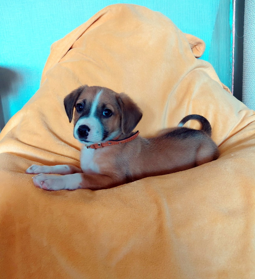 ou_x0BkBUiBp94YLnHK9dwskNIWkqNQnIfiFjFlgZPTm4sKFHhlmgShUQyXu6JhpnmSo8NA0j7npIKww8oRDm7mF