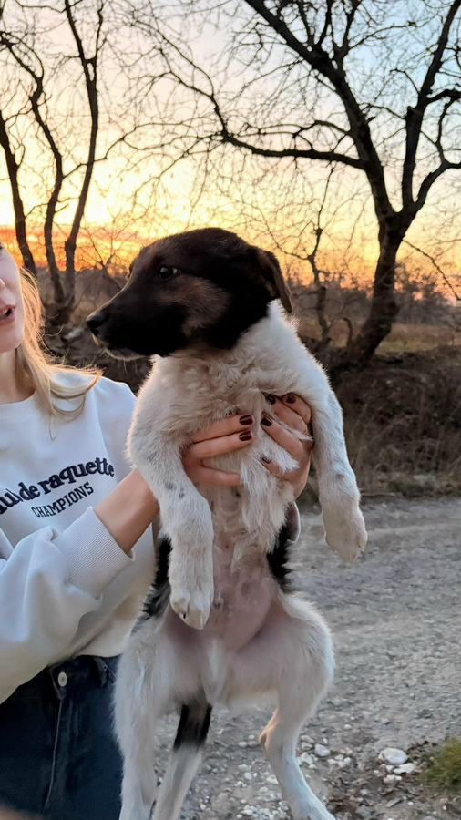 pPdKo1GJd9zMUYyKyonsqUW7pY9L0Q1x6SgMX9yhU55R7gPkCactlUanT8aPn3tb75tUBRqVxKvuFfFPB-VkYJmX