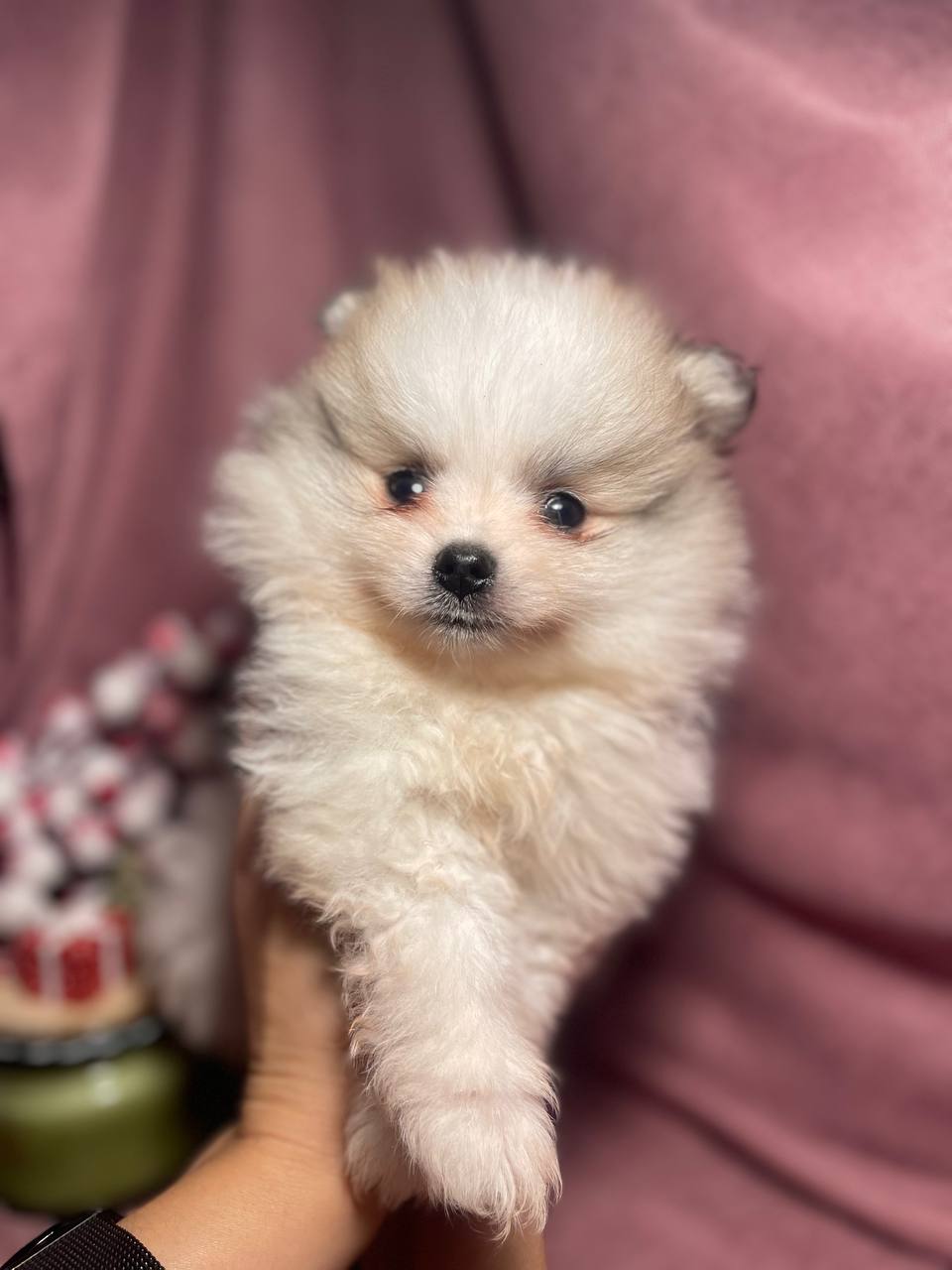 photo_2026-01-24_18-27-33