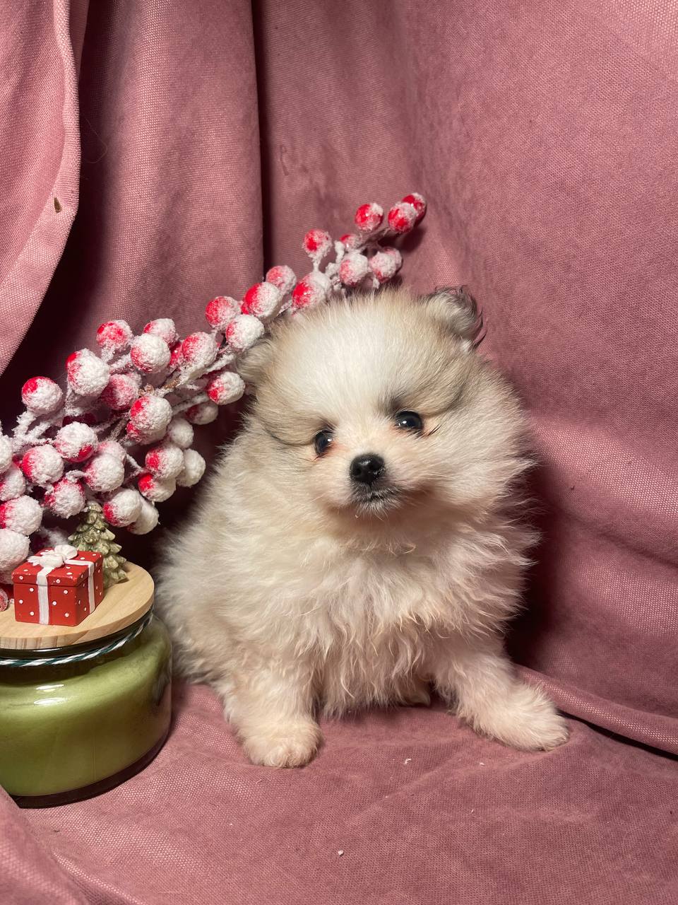 photo_2026-01-24_18-27-35