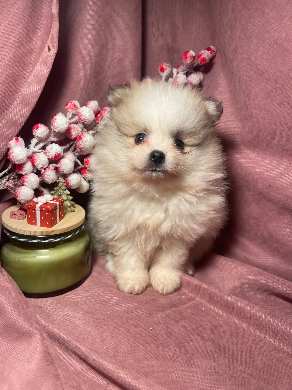 photo_2026-01-24_18-27-37