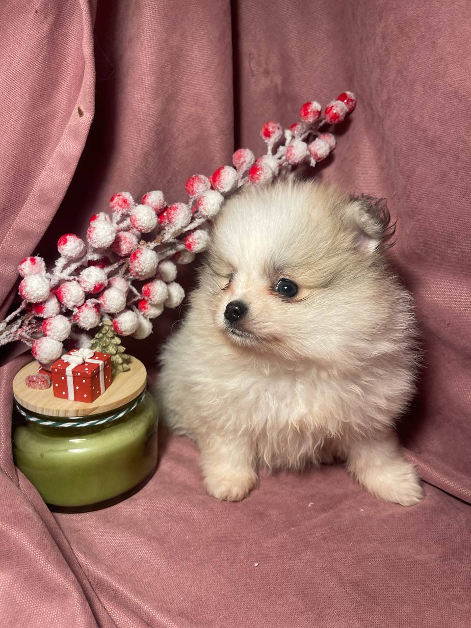 photo_2026-01-24_18-27-45