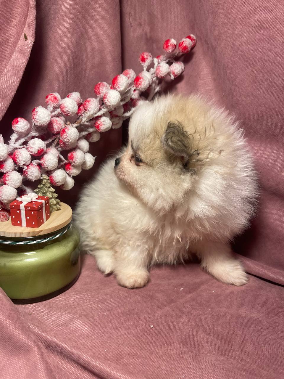 photo_2026-01-24_18-27-47