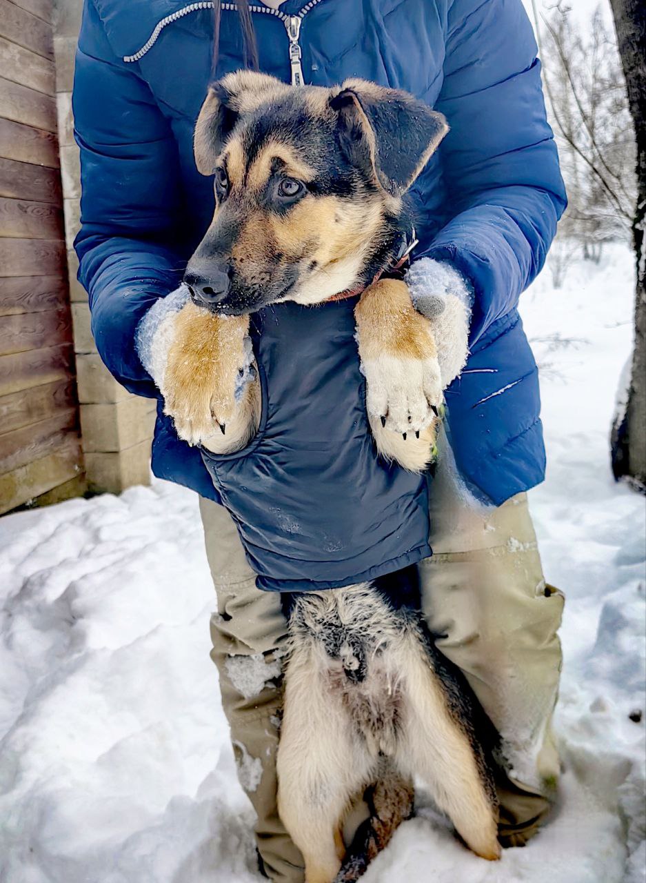 photo_2026-01-25_21-47-12