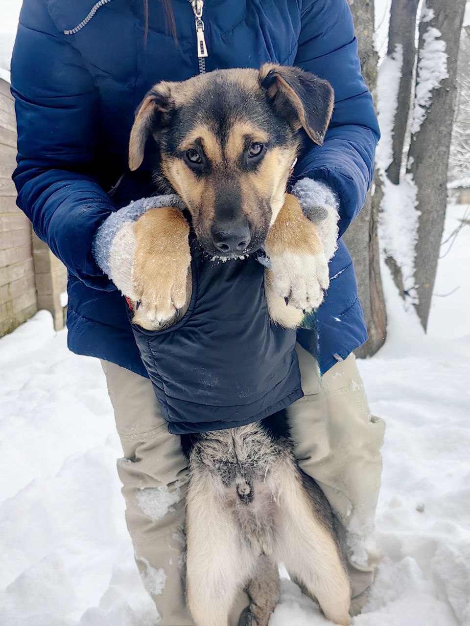 photo_2026-01-25_21-47-14