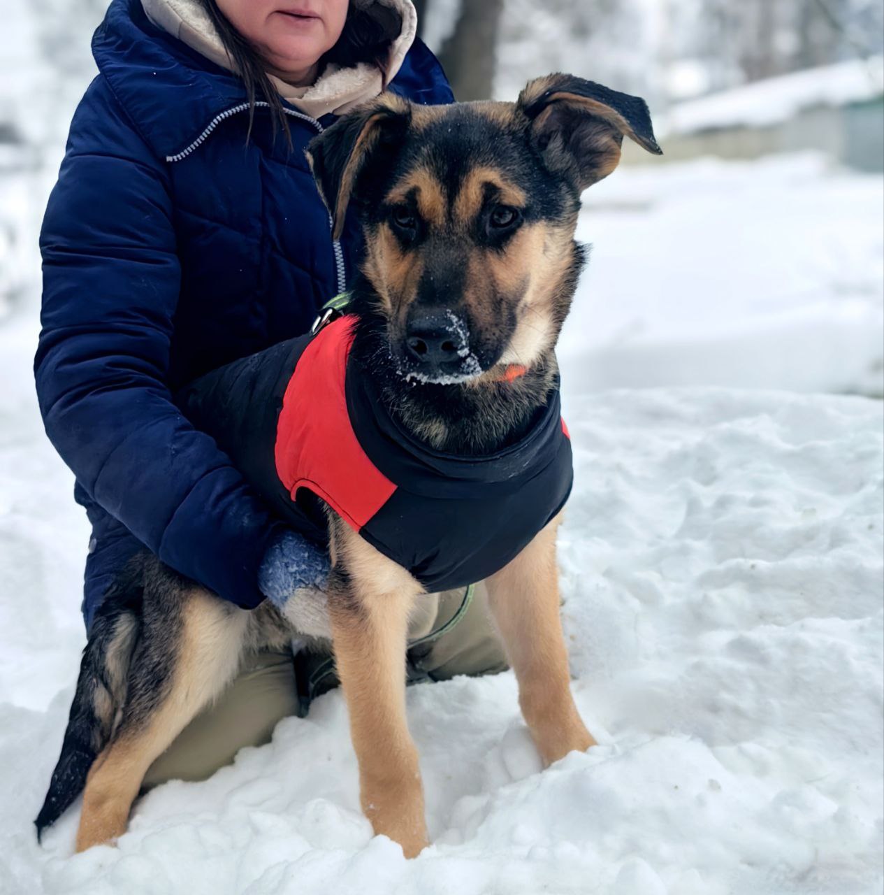 photo_2026-01-25_21-47-46