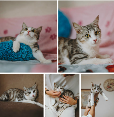 photo_2026-01-27_13-13-22