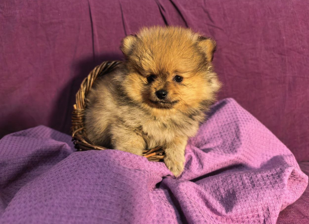 photo_5411469346707542422_y