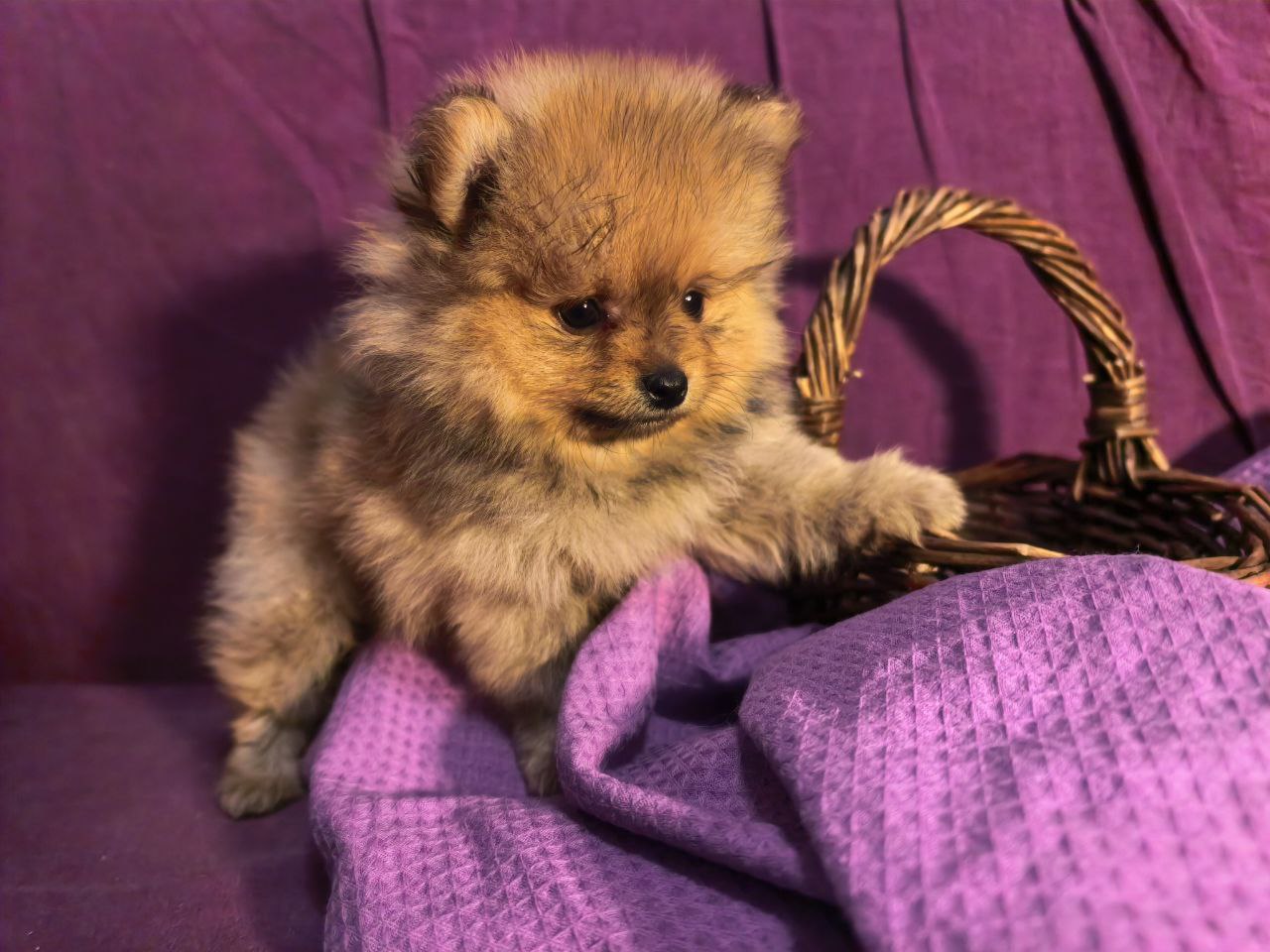 photo_5411469346707542424_y